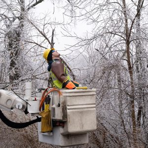 Consumers Energy worker responds to downed power line following late February ice storm