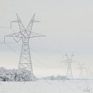 <p>Transmission towers and lines in East Texas in 2010.<br><br></p>