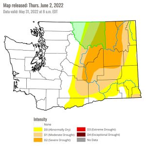 Nearly half of Washington is out of drought heading into summer, a dramatic improvement over a year ago.