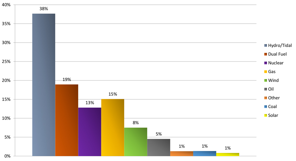 Resource fuel type (NPCC) Content.jpg