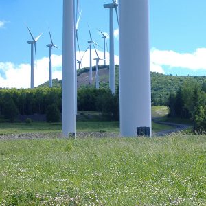 The U.S. has the ability to produce 11 times the power from wind it used in 2020, said Emma Searson, director of the 100% Renewable Campaign with Environment Massachusetts during a webinar on Tuesday.