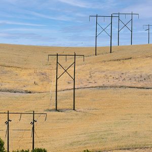 Transmission line in Umatilla County, Oregon.