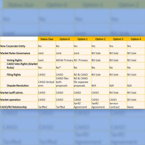 A comparison matrix of governance options from the Westside Governance Pathways Initiative presentation Dec. 15