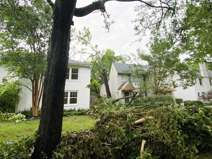 Dallas city officials say it will take about a month to clean up the storm's damage.