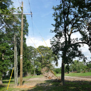 New utility poles line right-of-way amid the storm's debris in Conroe. 