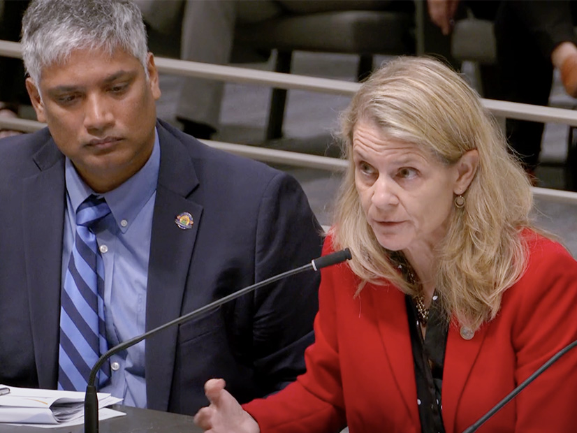 CPUC President Alice Reynolds, right, and CEC Vice Chair Siva Gunda participate in a California Senate Energy, Utilities and Communications Committee oversight hearing Aug. 6.