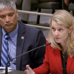 CPUC President Alice Reynolds, right, and CEC Vice Chair Siva Gunda participate in a California Senate Energy, Utilities and Communications Committee oversight hearing Aug. 6.