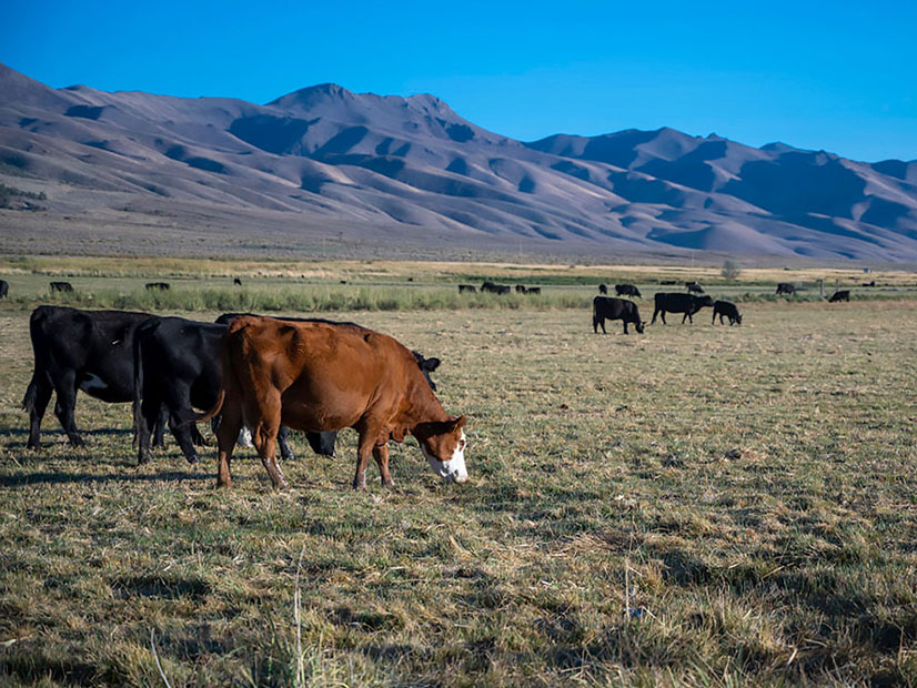 Gov. Joe Lombardo’s new Nevada Climate Innovation Plan discusses wildfire prevention in a section on rangeland management.