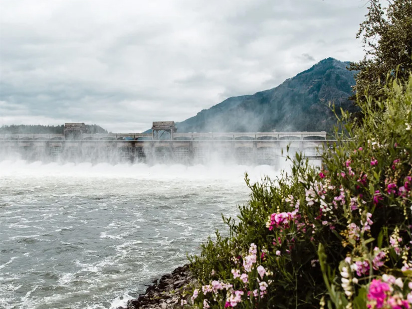 BPA's Bonneville Dam 