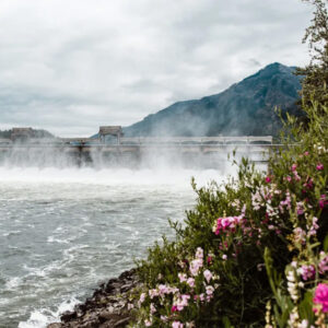 BPA's Bonneville Dam 