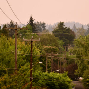 PGE distribution lines in Portland, Ore.