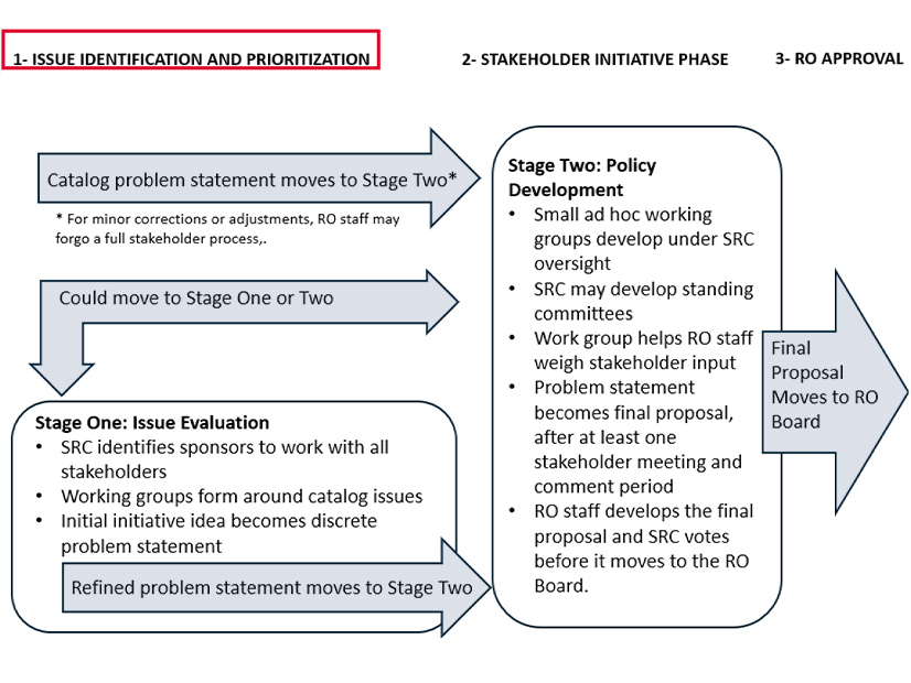 Flow chart illustrating the proposed stakeholder process for the regional organization envisioned by the Pathways Initiative. 