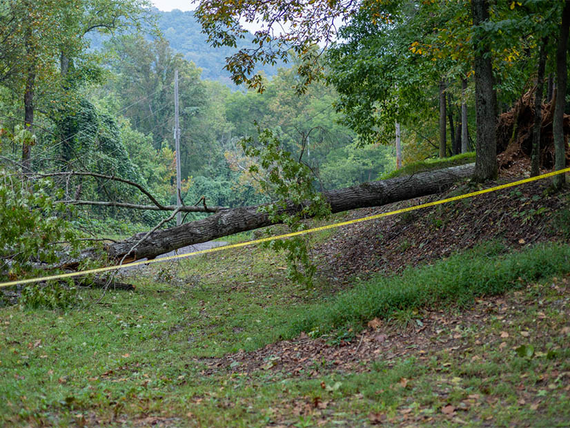 A picture the North Carolina co-op EnergyUnited posted of damage to their system from Hurricane Helene.