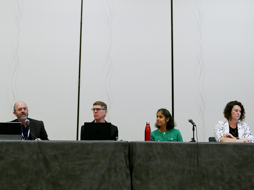 From left: Colorado PUC Commissioner Tom Plant; Doug Vine, director of energy analysis at the Center for Climate Solutions; Priya Barua, senior director of market and policy innovation at the Clean Energy Buyers Association; and Sara Baldwin, senior director of electrification at Energy Innovation.