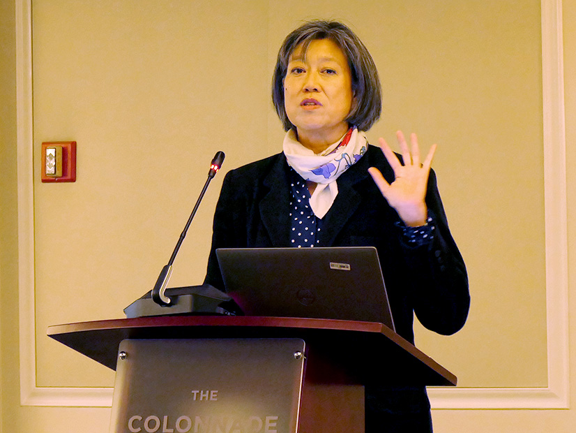 Judy Chang speaks to the ISO-NE Consumer Liaison Group on Dec. 4.