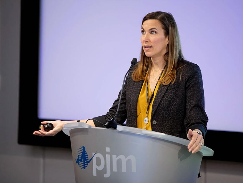 PJM's Lisa Morelli speaks at a Jan. 8 MIC meeting.