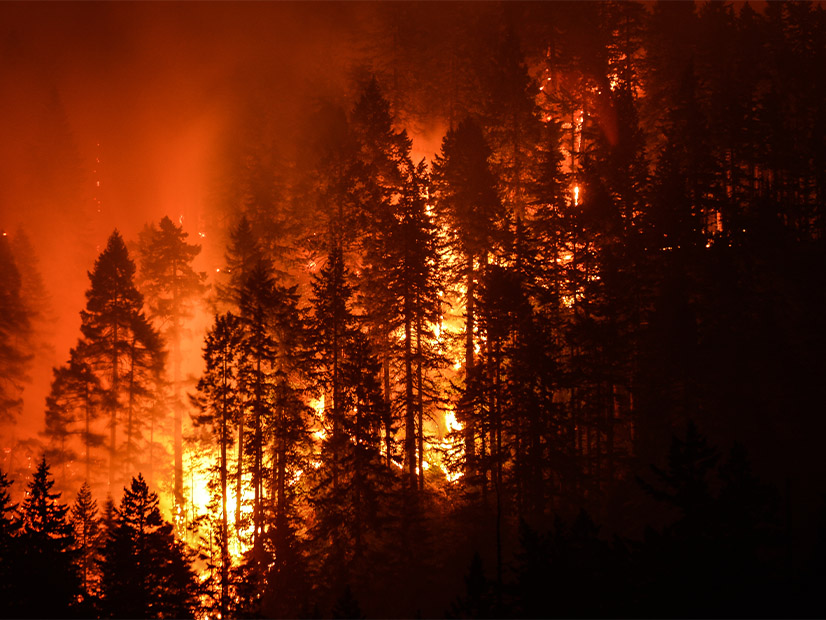 Nearly 1.8 million acres burned in Oregon in 2024 due to wildfires, according to the National Interagency Coordination Center.